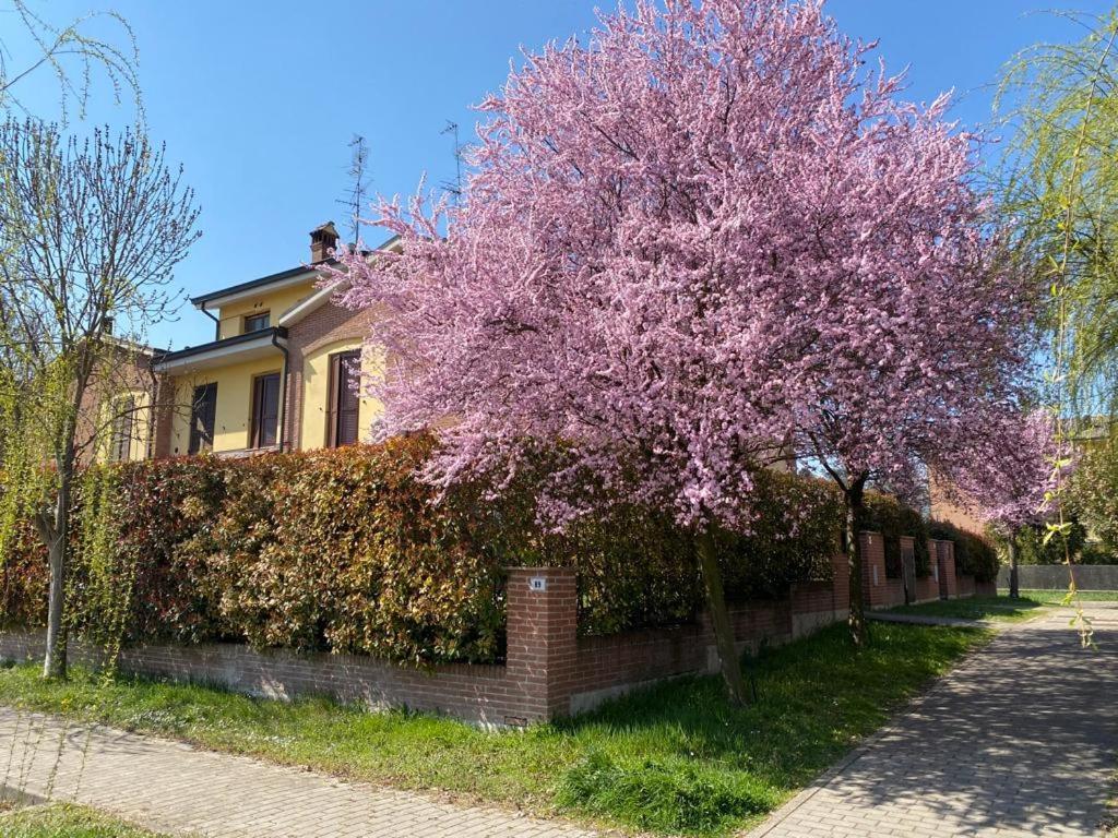 Suite Travel Home Modena Exterior photo